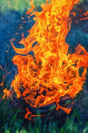 Fiery orange sneakers on grass, blazing running shoes in flames for dynamic sports conceptの写真素材