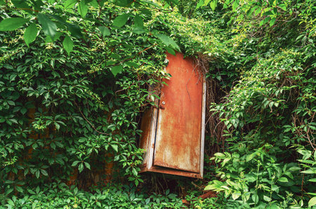 Old broken metal cabinet with rust and wild grapevines, an urban relic overtaken by natureの写真素材