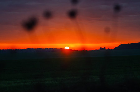 Magical orange and purple autumn sunset over a field with silhouetted trees on the horizon. Duskの写真素材