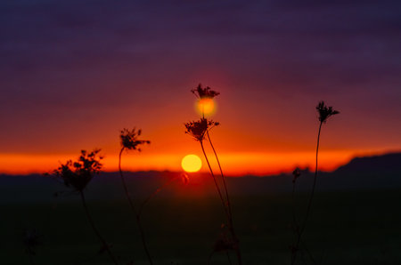 Purple and orange dramatic autumn sunset over field with silhouetted trees on the horizon. Blurrの写真素材