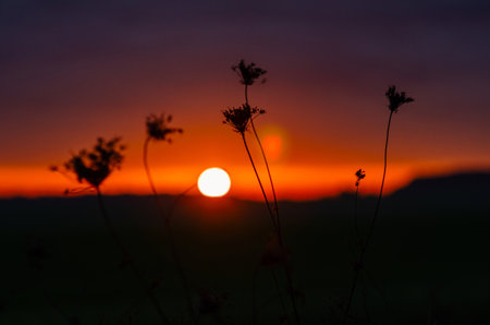 Purple and orange dramatic autumn sunset over field with silhouetted trees on the horizon. Blurrの写真素材
