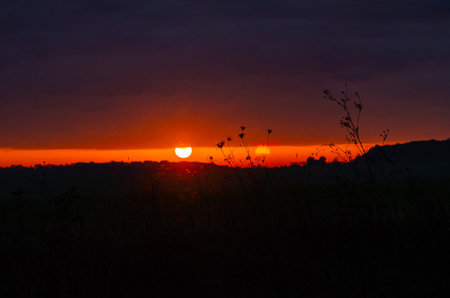 Dramatic orange and purple autumn sunset over field with silhouetted trees on horizon. Duskの写真素材