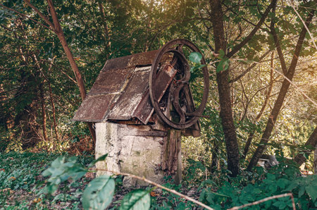 Old and abandoned rusty well in forest among weeds, bushes and trees. Picture of neglect and antiquityの写真素材