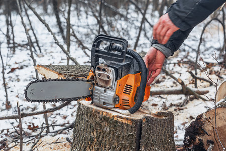 Chainsaw in the forest on a stumpの写真素材