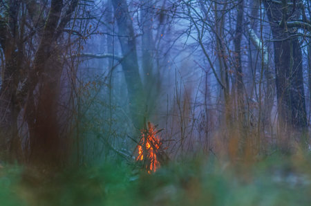 Winter view of bonfire in forest through smoke screen surrounded by trees. Blurred, selective focusの写真素材