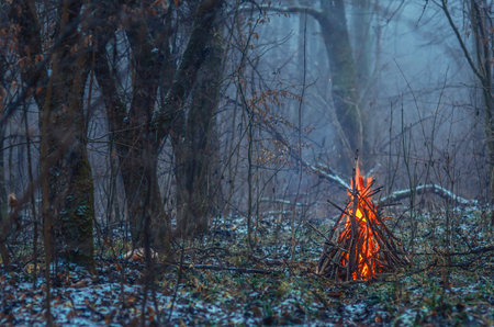 Red and yellow flames of bonfire. Selective focus. Blur. Atmosphere of winter forest illuminated by flamesの写真素材