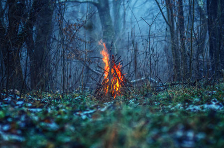 Red and yellow flames of bonfire. Selective focus. Blur. Atmosphere of winter forest illuminated by flamesの写真素材