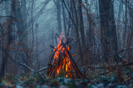 Flame of bonfire burns brightly on dry grass in winter forest. Blurred background of gray trees and bushesの写真素材