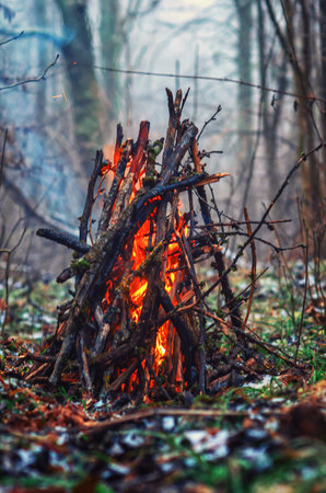 Close-up of bright bonfire on dry grass in winter forest. Blurred background of gray trees and bushesの写真素材