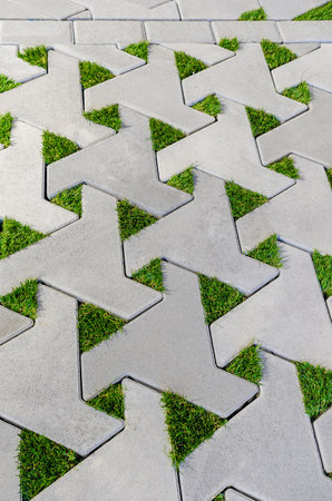 Eco paving stones with grass between paving stones. Green grassの写真素材