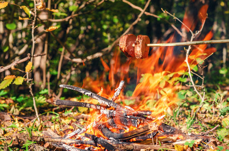 Bonfire with flame for cooking and heating. Picnic and outdoor recreation. Danger in the forestの写真素材