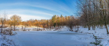 Snowy pond in the middle of forest surrounded by leafless trees against blue sky. Panorama of winter forest with pondの写真素材