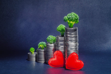 Two red hearts against columns with silver coins on which green broccoli grow.の写真素材