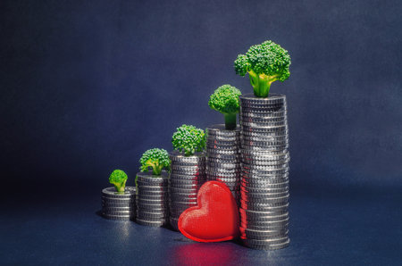 Red heart against stacks of silver coins with green broccoli growing on them.の写真素材