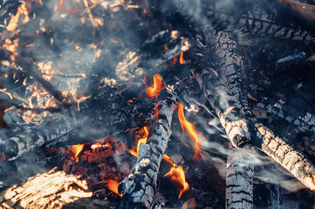 Warm campfire flames burning on wood in autumn forest scenery
