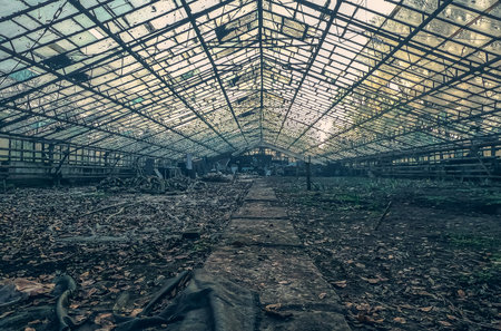 Creepy abandoned greenhouse with broken windows through which sunlight shines. Mysterious space, abandoned buildingの写真素材