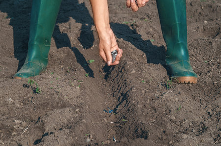 Female farmer's hands sow silver coins in plowed black soil. Investment in future, ecology,...