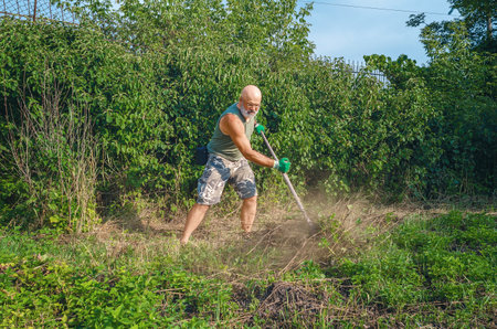 Bearded bald strong man in glasses, breeches and t-shirt mows weeds with hand scythe. Home yard...