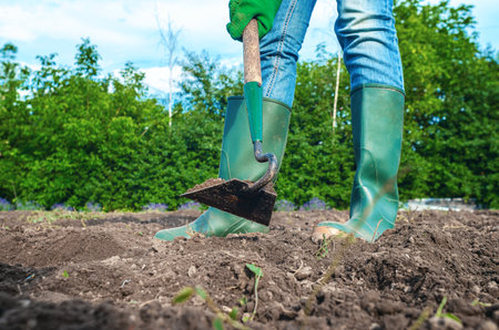 Woman in jeans and rubber boots working with hoe on soil. Farmer working in field, loosening soil....