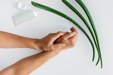 Top view of green aloe vera leaves, cream and womans hands on light surface, isolated. Antioxidants, moisturizing hand skin. Natural alternative medicine.の写真素材