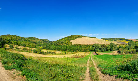 Natural landscape, hills, field road. Nice landscape with road descending between fields into the forest, green meadows, golden sunlight and blue sky in autumn. Travel by bicycle.の写真素材