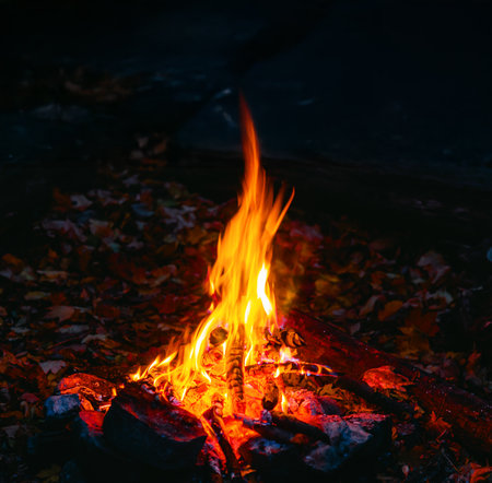 Bright tongues of burning bonfire on dark night. Bonfire burns in the dark. Sparks and flames....