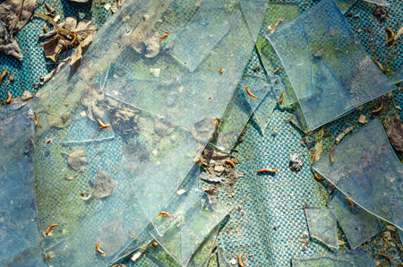 Top view of large and small pieces of broken glass scattered on ground with dry leaves. Damage, environmental pollution. Broken glass background.