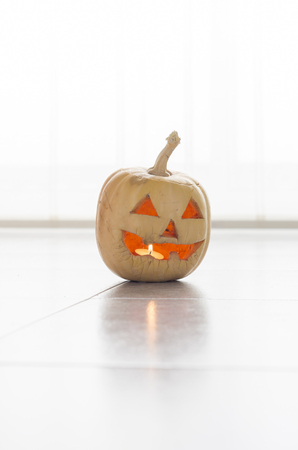 real pumpkin ( Halloween concept )の写真素材
