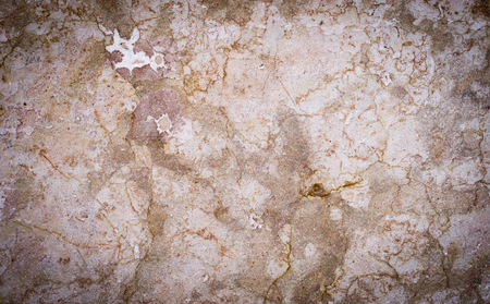 An old wall texture & colored background  ( resource for your designs )の写真素材