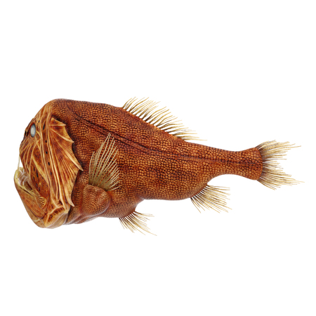 Fangtooth Fish Isolated on White Background 3D Illustration