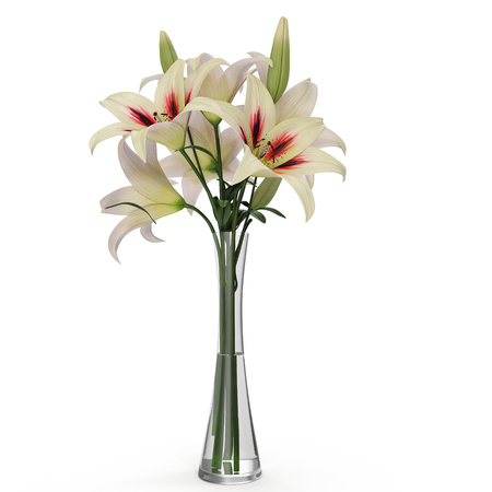 White Lily Vase on white. 3D illustrationの写真素材