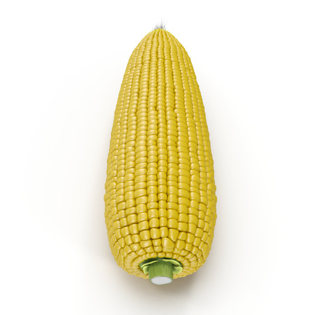 Corn isolated on a white. 3D illustrationの写真素材