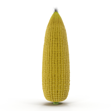 Corn isolated on a white. 3D illustrationの写真素材