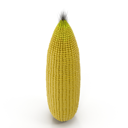 Corn isolated on a white. 3D illustrationの写真素材