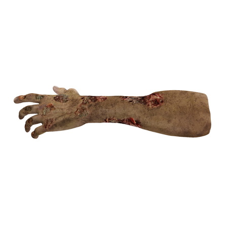 Terrible zombie hands, dirty hands of the mummy, on white. 3D illustration, clipping pathの写真素材