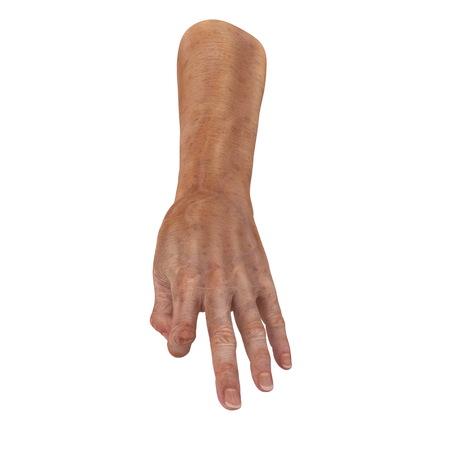 Senior hands on a white. 3D illustration