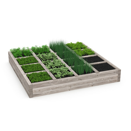 Wooden box with a young garden on white. 3D illustrationの写真素材