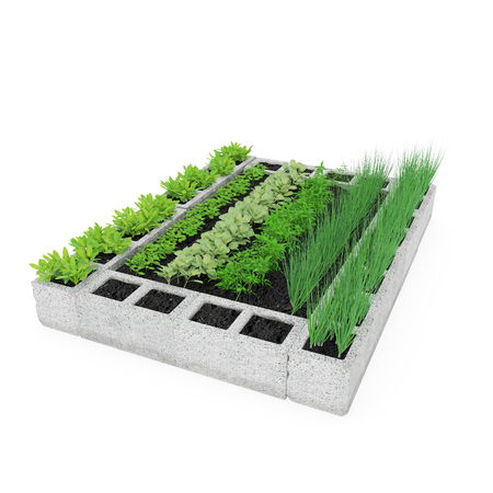 Cinder Block Garden on a white. 3D illustrationの写真素材