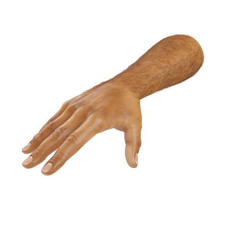 man hands on white background. 3D illustrationの写真素材