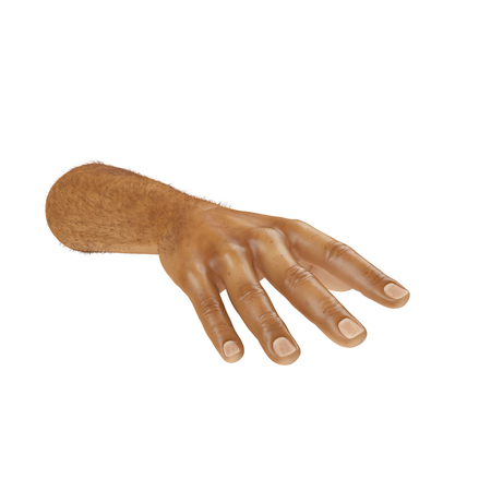 man hands on white background. 3D illustrationの写真素材