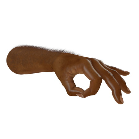 african man hand Ok Sign on a white. 3D illustrationの写真素材