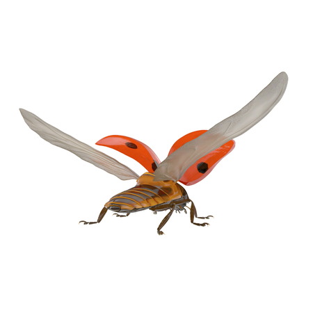 Ladybug flying on white. 3D illustration