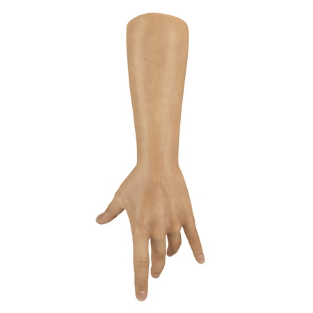man hands on white. 3D illustrationの写真素材