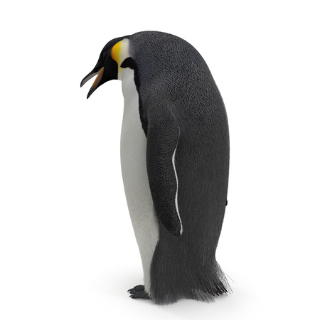 Emperor penguin. isolated on white. 3D illustrationの写真素材