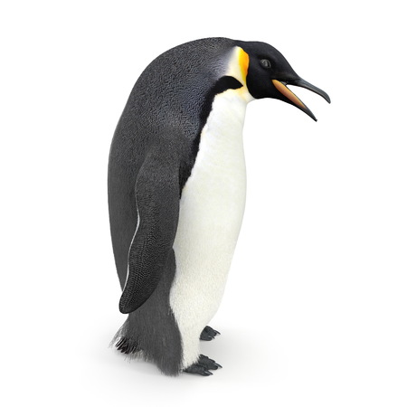 Emperor penguin. isolated on white. 3D illustrationの写真素材