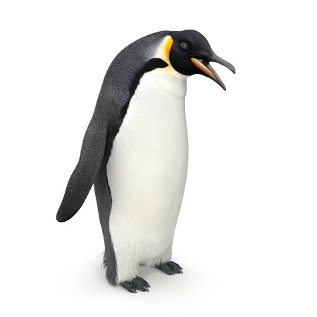 Emperor penguin. isolated on white. 3D illustrationの写真素材