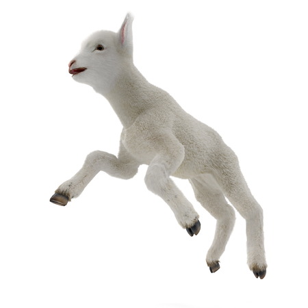 Lamb jumping, isolated on a white. 3D illustrationの写真素材