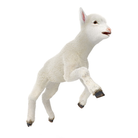 Lamb jumping, isolated on a white. 3D illustrationの写真素材