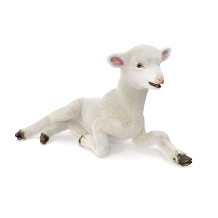 Lamb lies on the floor, isolated on a white. 3D illustrationの写真素材