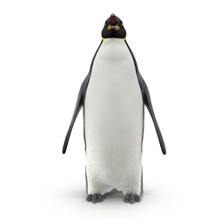 Emperor penguin. isolated on white background. Front view. 3D